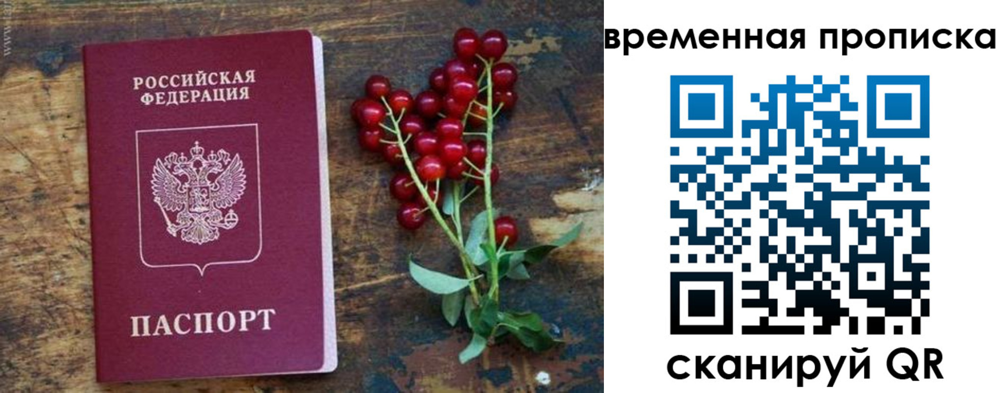 временная регистрация гарантия в Чечне